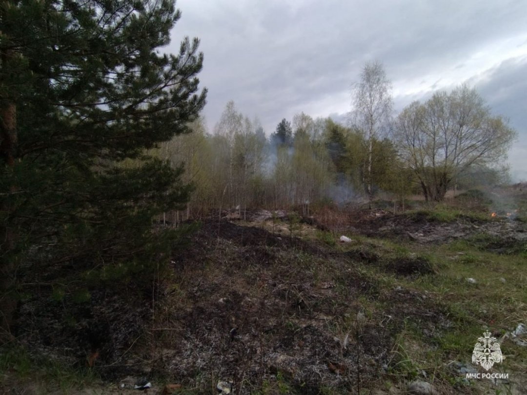 Природный пожар в Нейском муниципальном округе локализован
