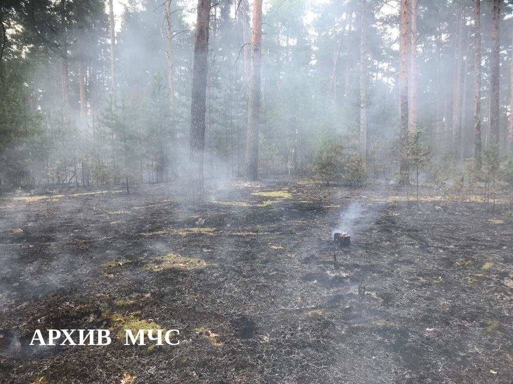 Лесной пожар в Нейском районе локализован