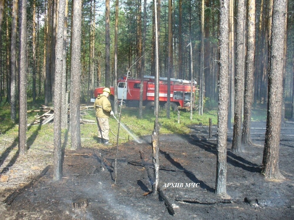 Лесной пожар в Нейском муниципальном округе